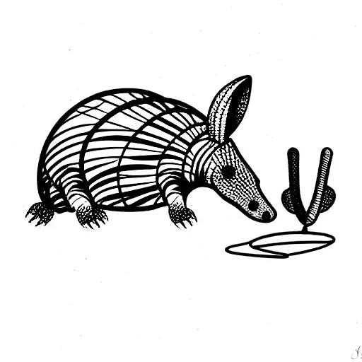 Dainty Armadillo