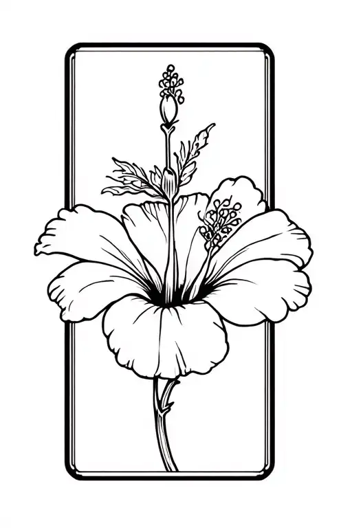 Hibiscus Flower Blooming