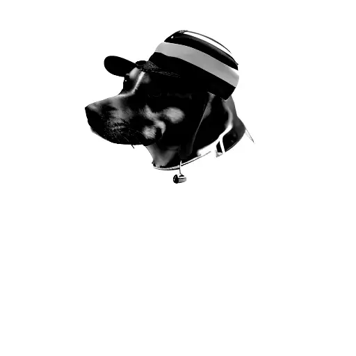 A Dog Wearing An American Flag Hat