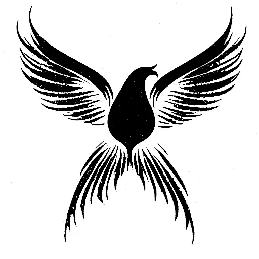 Phoenix Flying Looking Up