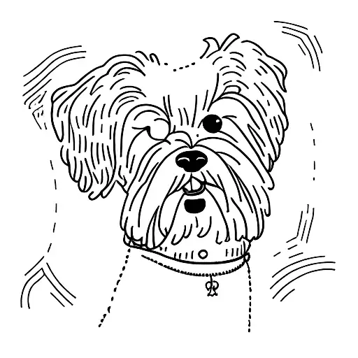 Dog With His Death Date