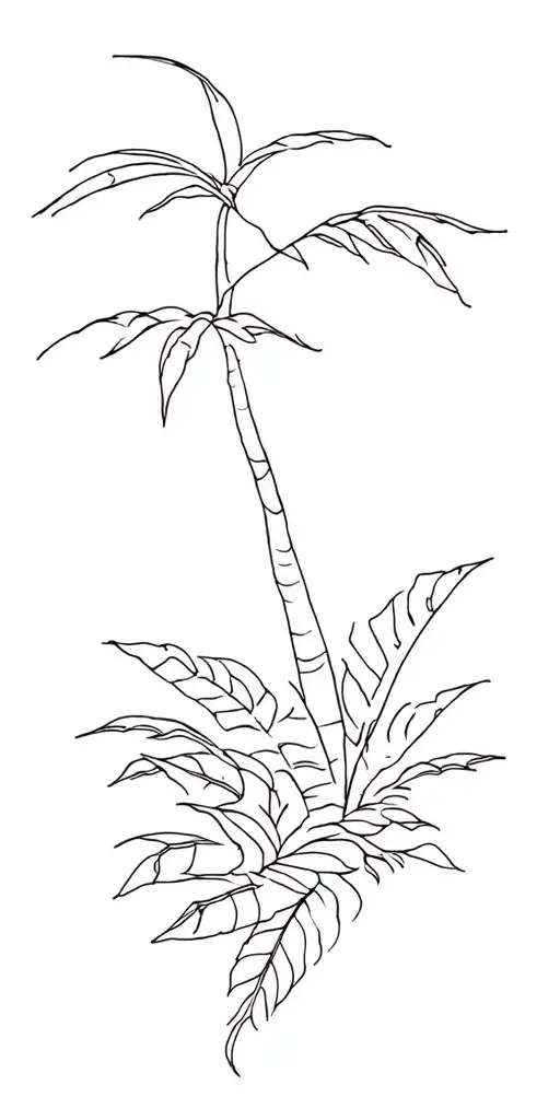 Tropical Rainforest With Ocean Scene