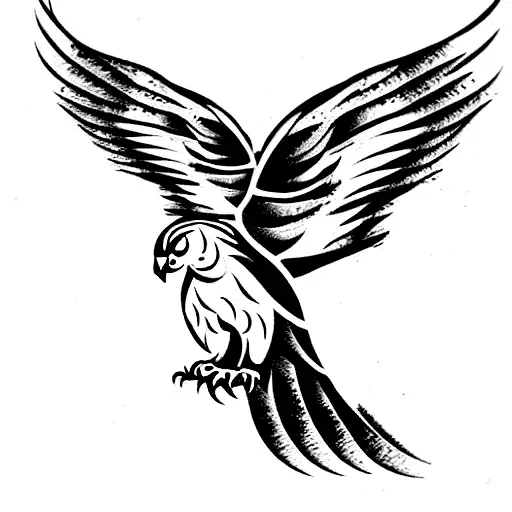 A Hawk Mixed With A Cat