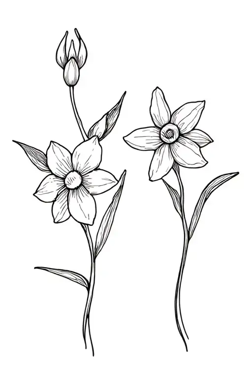 One Honeysuckle And One Daffodil Flowers