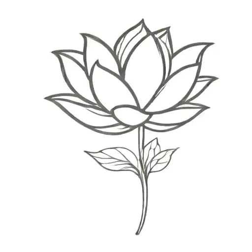 Lotus Flower