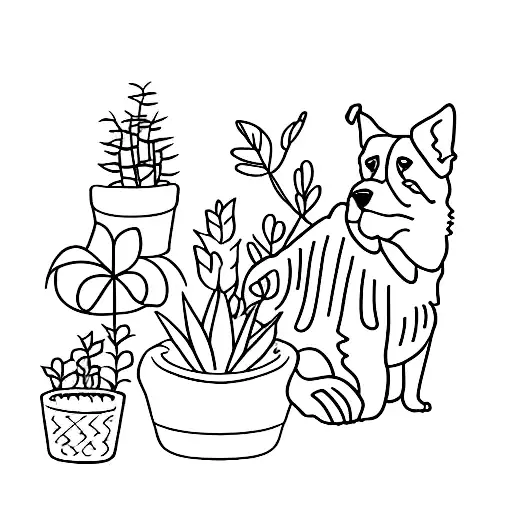 A Dog Surrounded By A Jungle Of Potted Plants