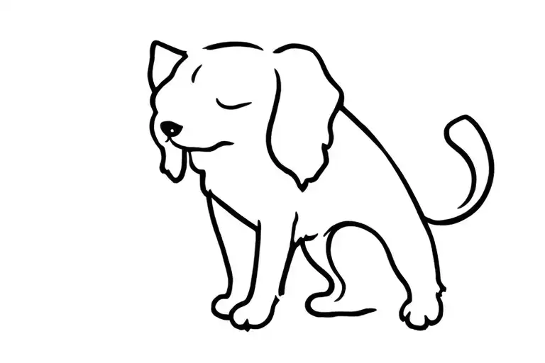 Black Cat Cavalier King Charles