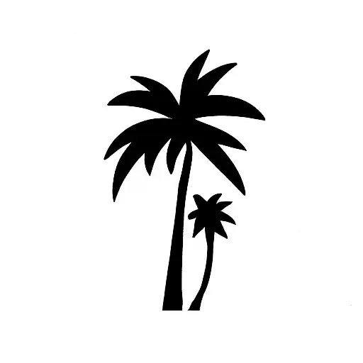 Palm Tree