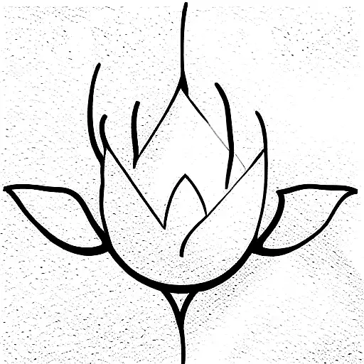 Lotus Flower Moon Cycle Yoga