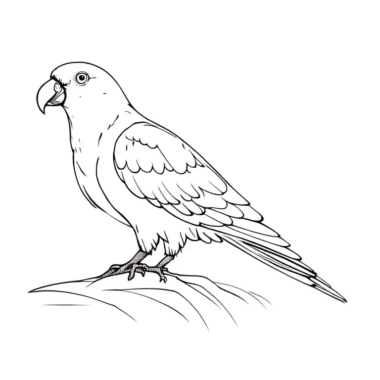 Small Fine Line African Grey