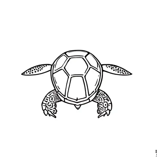 Turtle