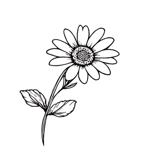 Daisy Flower