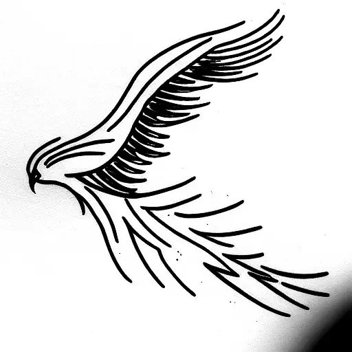 Phoenix And A Hawk And Rainstorm