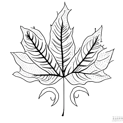 Leaf