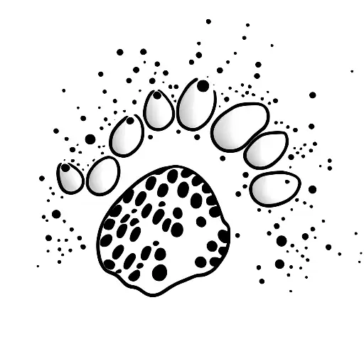 Dog Paw With Hazelnut And Splash Of Color