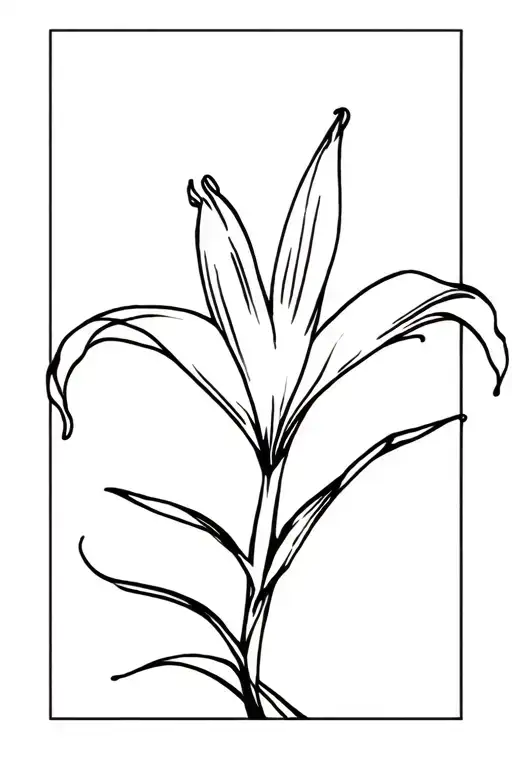 The Lily Means I Dare You To Love Me