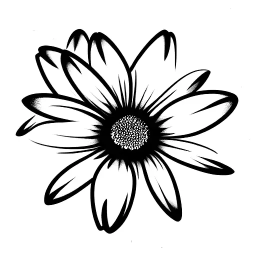 One Black Daisy And One White Daisy With Stems