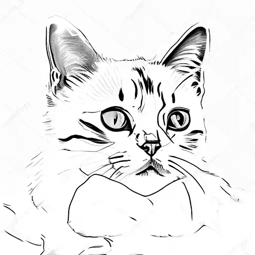 Black And White Cat In Van Gogh's Starry Night