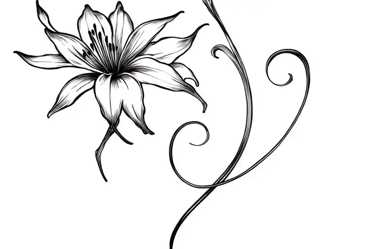 Fine Line Spider Lily Flower With A Swirl Coming From The Back