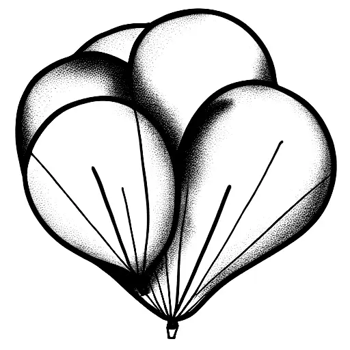 Nf 3 Black Balloons