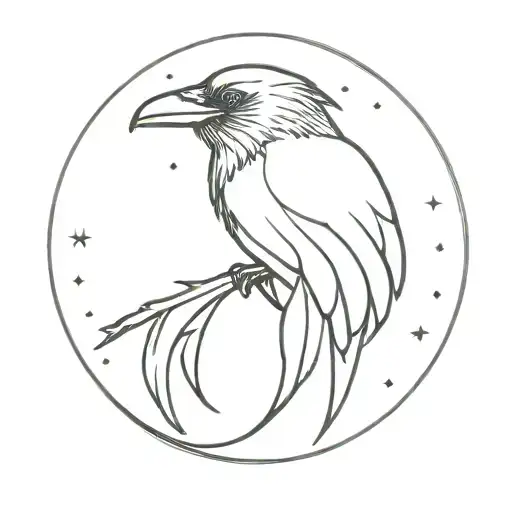 Raven Sitting On A Crescent Moon Phase