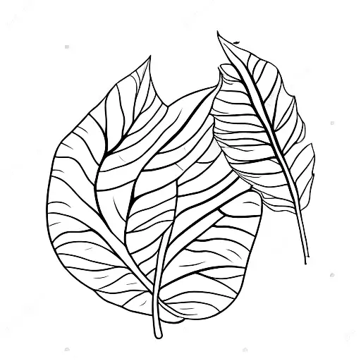 Leaf Fine Line