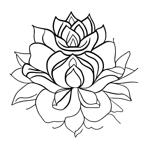 Lotus Flower