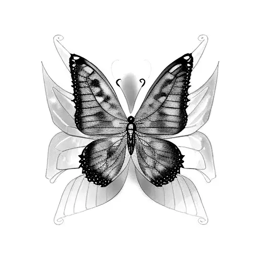 Butterfly Wings Are Black And Red