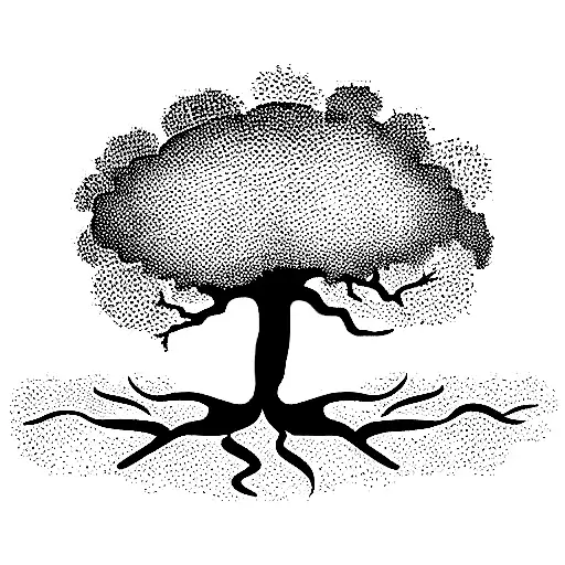 Oak Tree With Large Roots