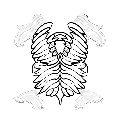 Wings With A Space Between Them