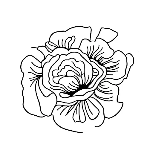 Fine Line Poppy Flower And Marigold Flower Worth Stems