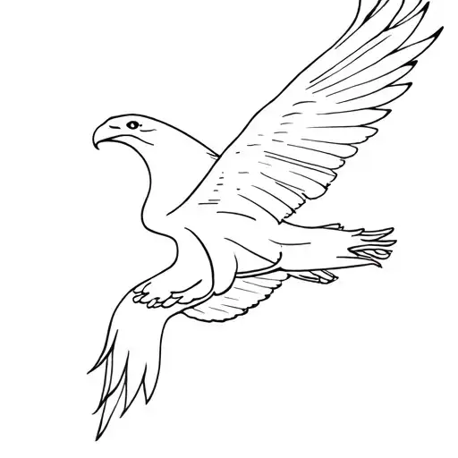 Eagle At Fly -Minimalistic Fine Line Abstract