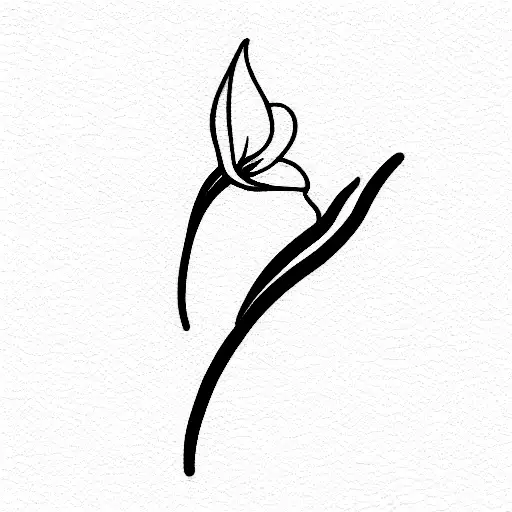 Fine Line Strelitzia