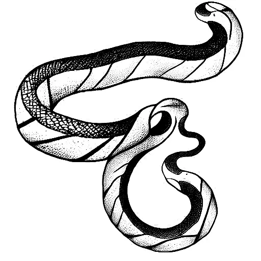 Long Snake