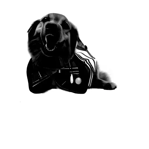 A Dog Wearing A Vest