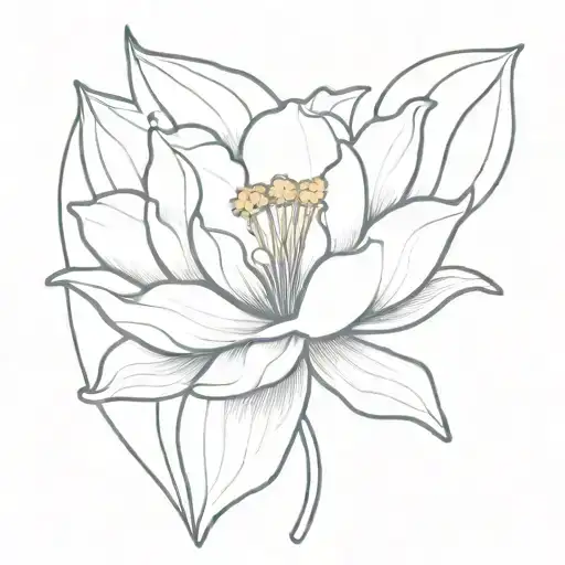 Daffodil And Water Lilly