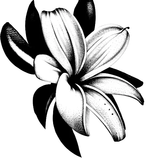 Lily Of The Valley And Plumeria