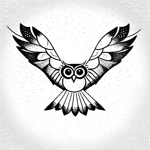 Female Graceful Owl With Open Spread Wings