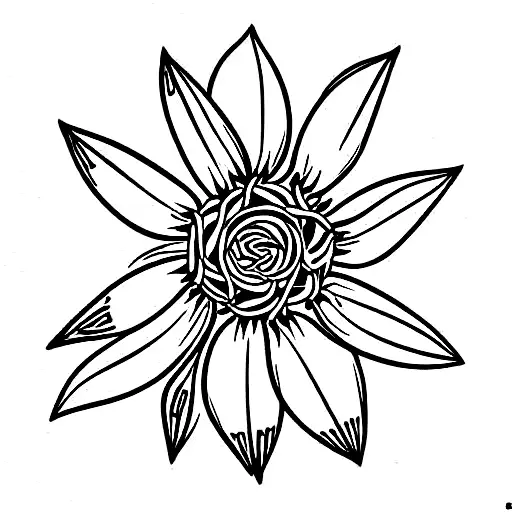 Edelweiss Flower With Stem And 1968