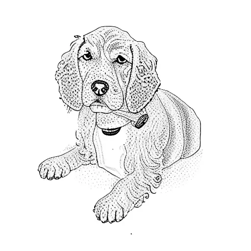 Black Cocker Spaniel