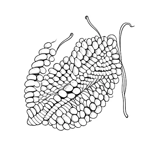 A Single Continuous Line Forming A Pea Pod