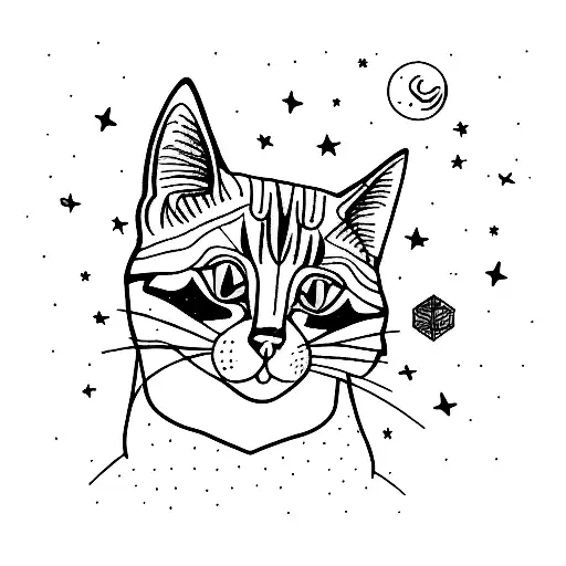 Cat Open Space Stars