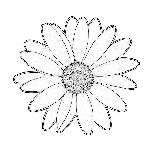 A White Daisy