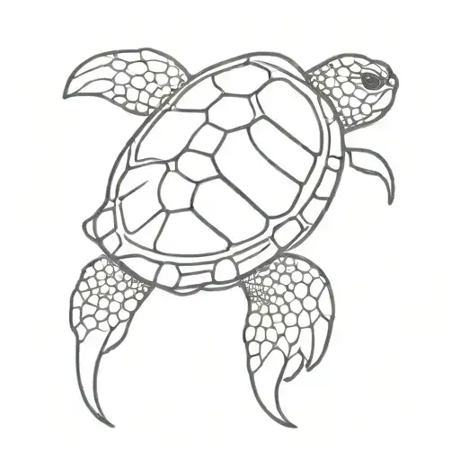 Turtle