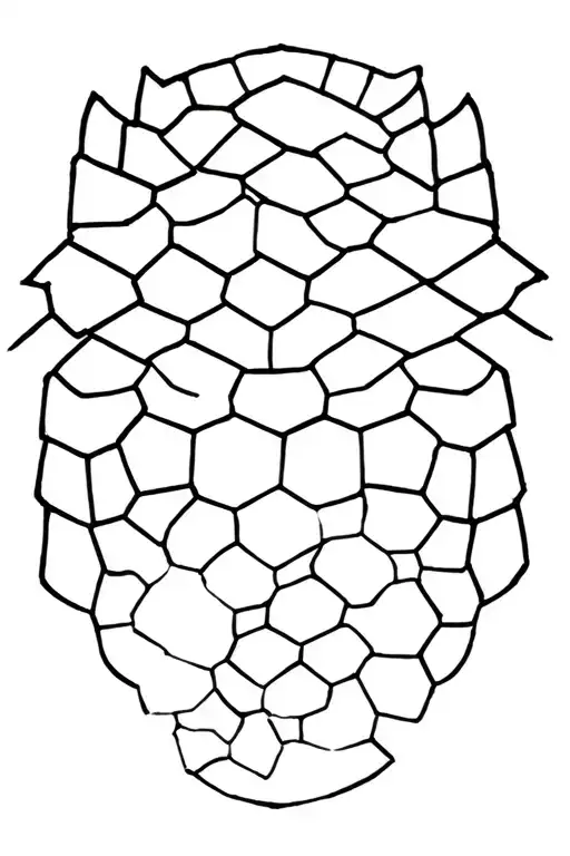 Beehive Pattern