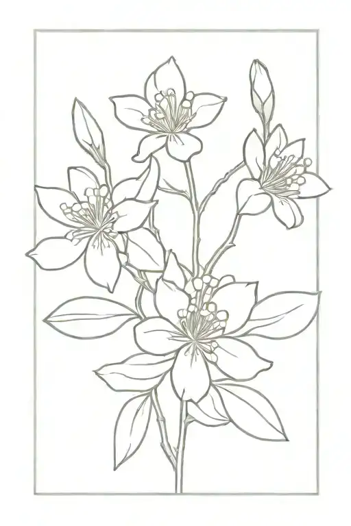 Lignum Vitae Flowers Dainty Fine Line