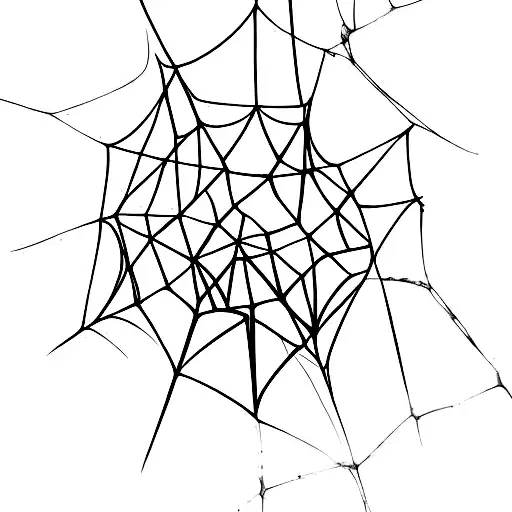 Black Widow Hanging By Her Web