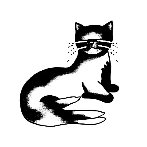 Very Fluffy Black Cat With White Paws And Belly Sleeps With Outstretched Paws