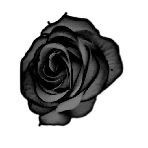 A Rose In A Flower Bouquet