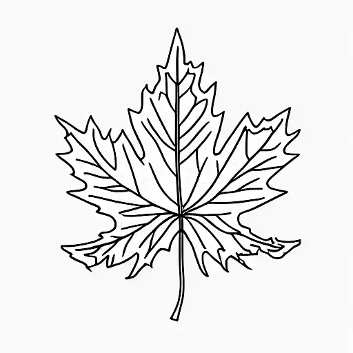 A Beautifully Detailed Maple Leaf Intertwined With Hiking And Camping Gear
